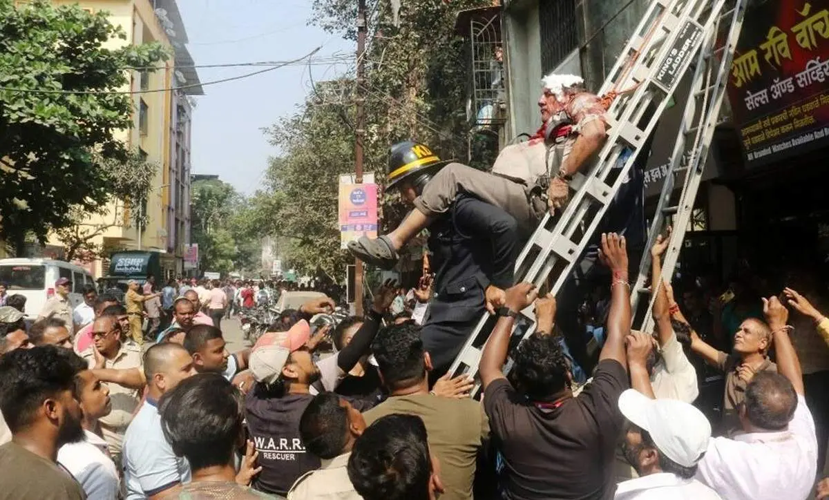 ورود یک پلنگ به منطقه مسکونی و حمله به ساکنین آن+ فیلم