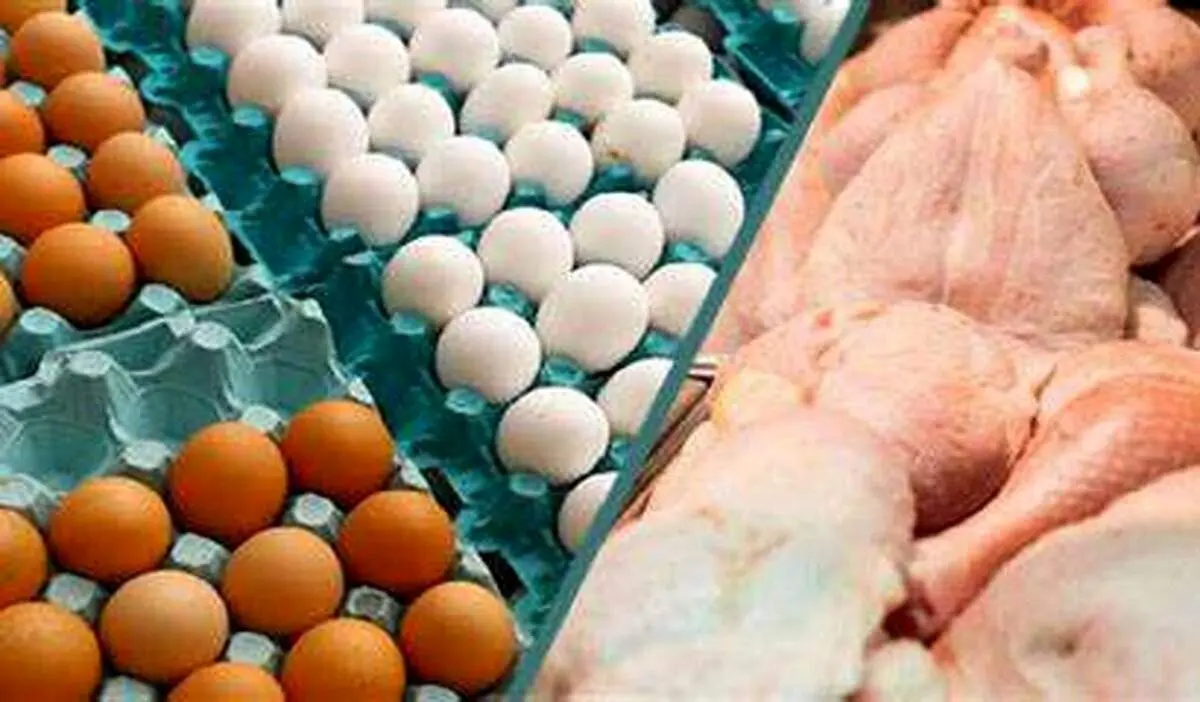قیمت جدید مرغ و تخم مرغ در بازار