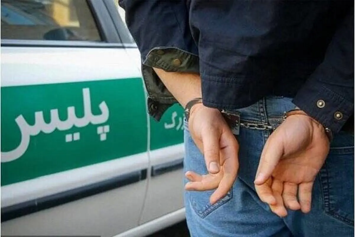 عجیبترین اغتشاشگر بازداشتی | من آریوبرزن هستم؛ پرچمدار همدان + فیلم