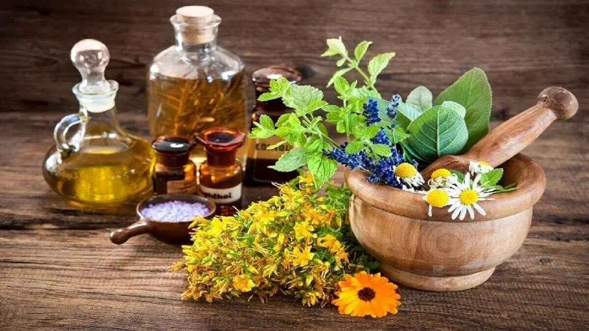 آرامش اعصاب با ۵ گیاه پرمصرف