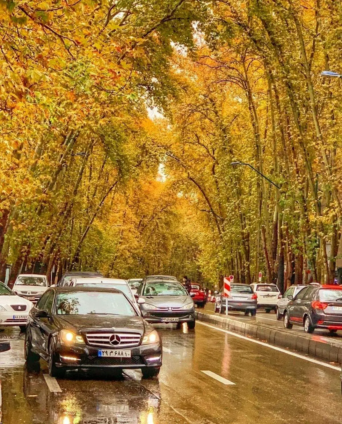 دیدنی های روز؛ از تونل رویایی در المان تا ولیعصر پاییزی تهران