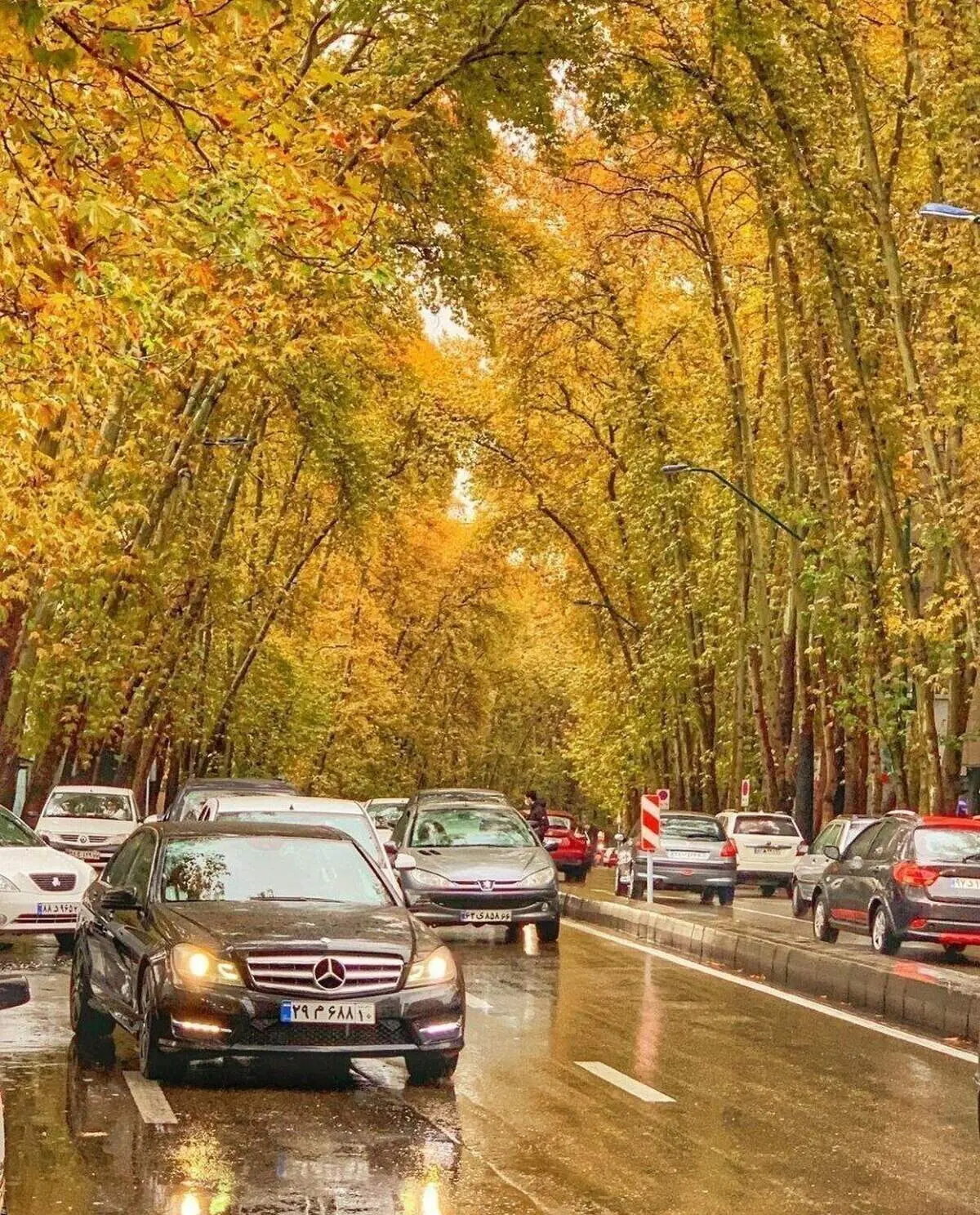دیدنی های روز؛ از تونل رویایی در المان تا ولیعصر پاییزی تهران