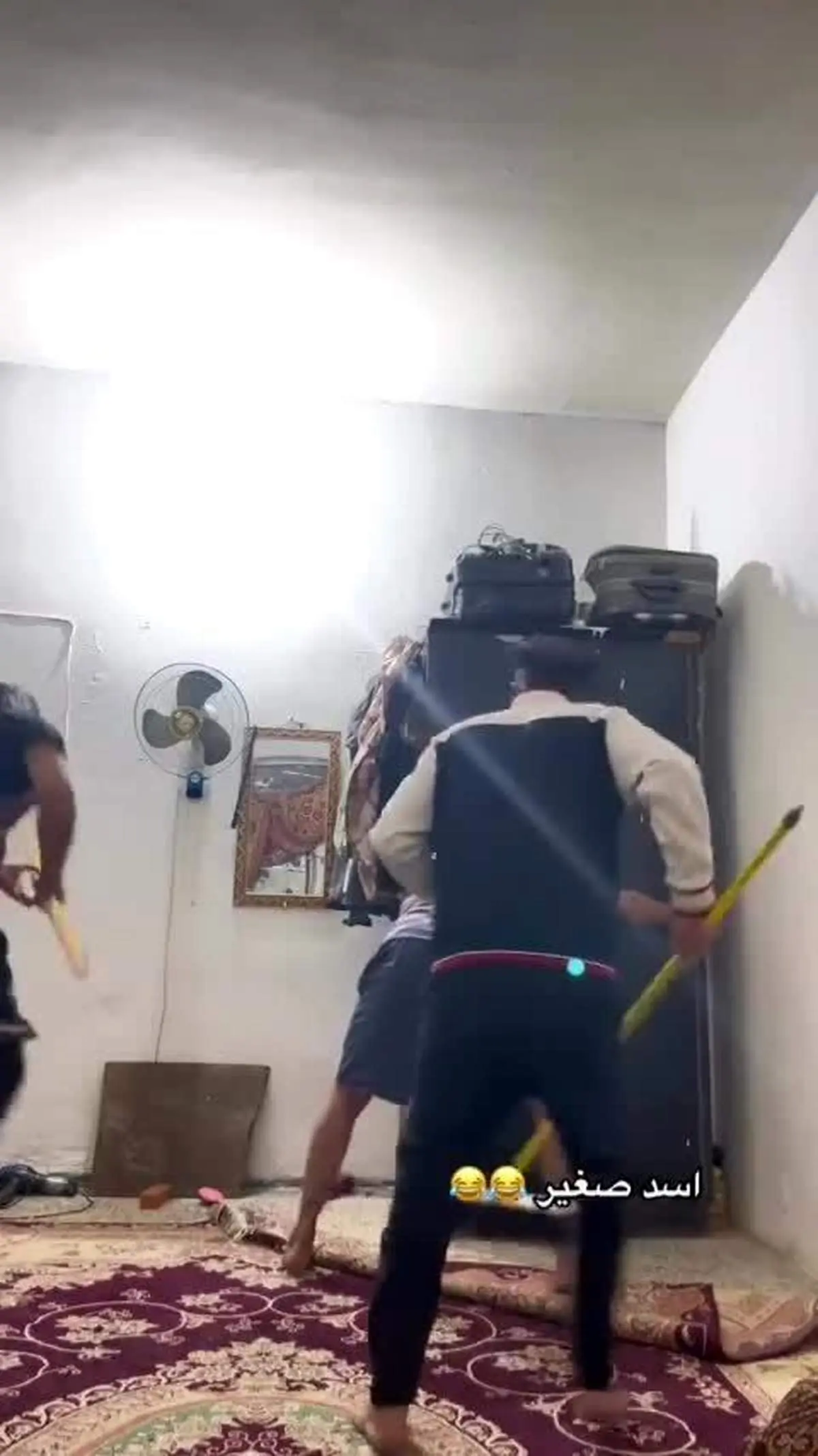 ویدیویی پربازدید از وحشت ۳ پسر جوان از یک موش! + فیلم