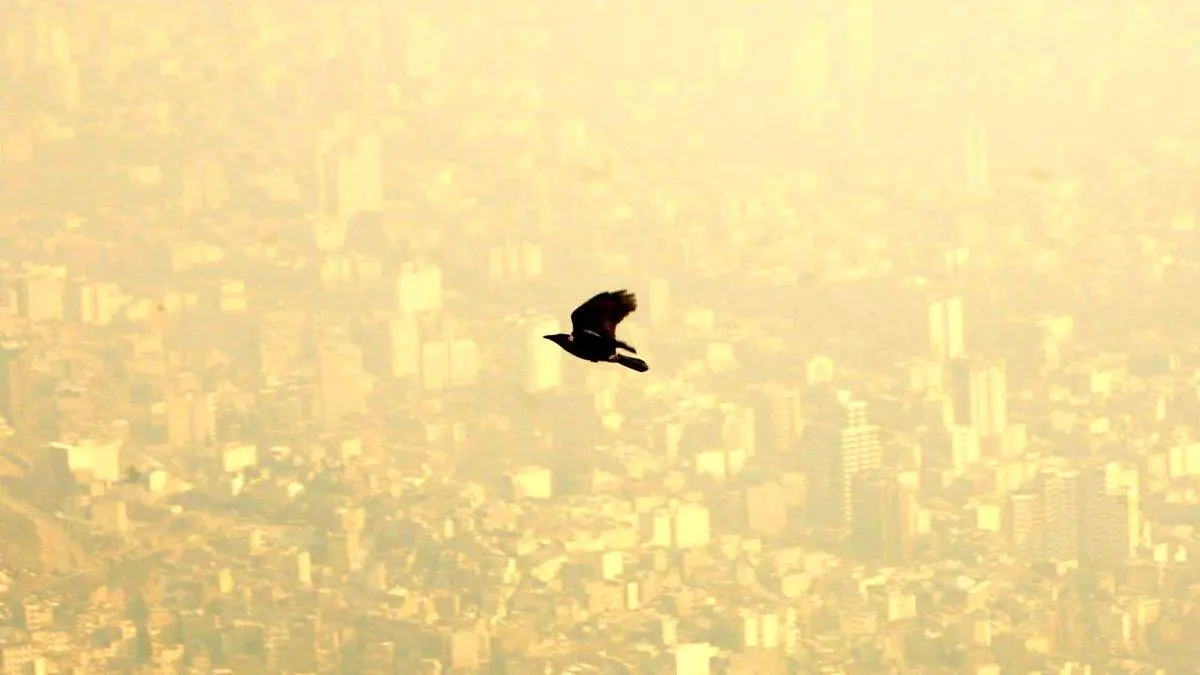 آخرین وضعیت تعطیلی مدارس و دانشگاه ها طی هفته جاری