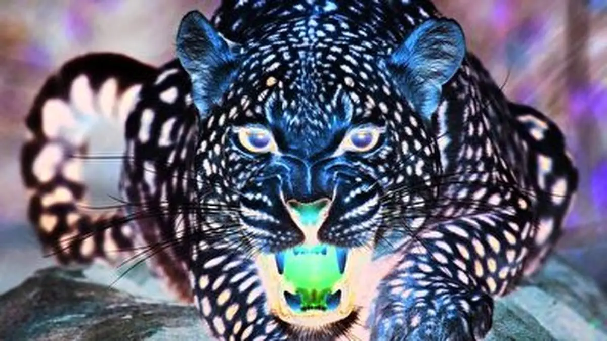 لحظه تکان دهنده شکار تمساح توسط پلنگ+ فیلم