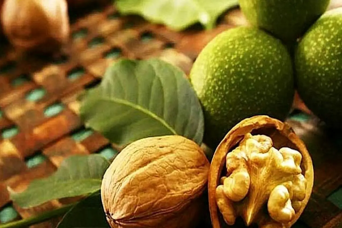 راه حل طلایی برای کاهش استرس ایام امتحانات
