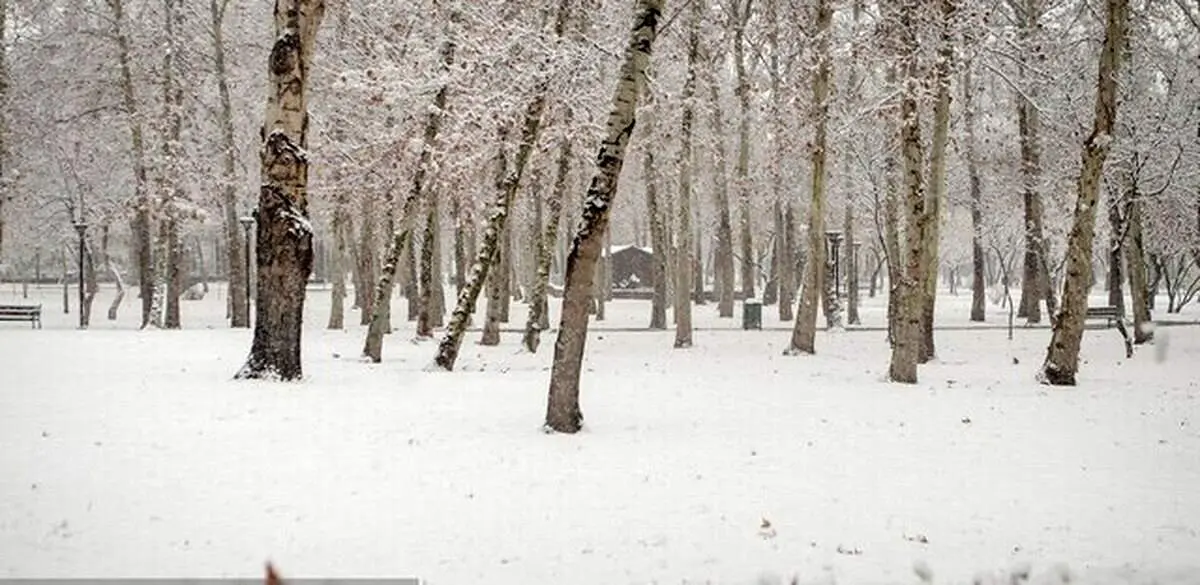 هشدار جدی هواشناسی درباره بارش برف و باران در ۱۰ استان