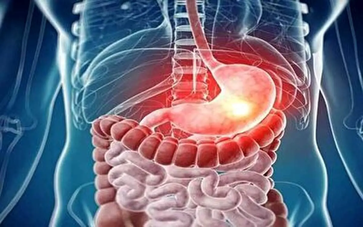 سیر و سفر ۳۰ ساعته غذا در بدن انسان+ فیلم