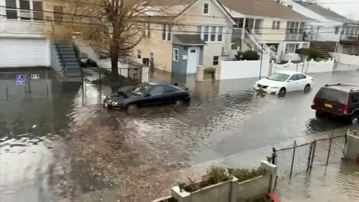 بلای خانمان سوز به جان نیویورک افتاد