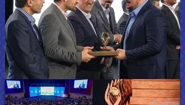 معاون بیمه سرمد، مدیر نمونه صنعت بیمه کشور شد