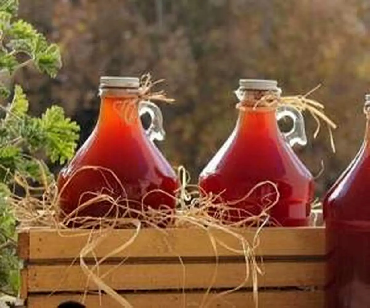 روش های صحیح نگهداری آبغوره خانگی