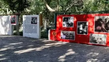 نامه دکتر آزاده عباس‌ زاده به شهردار شهر کاتره بورن برای احداث دیوار ۱۹۳