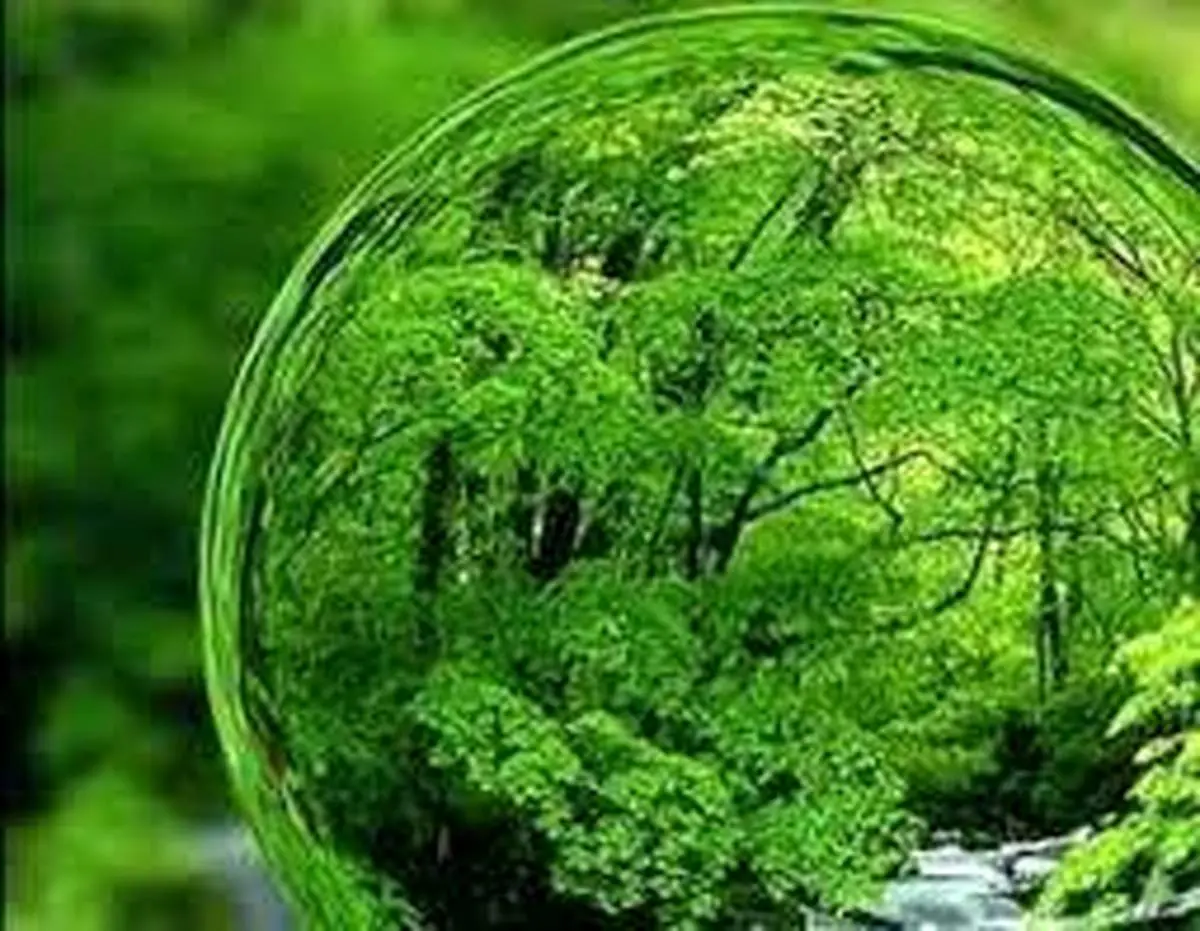 حماقت یک فعال محیط زیست کار دستش داد!+ فیلم