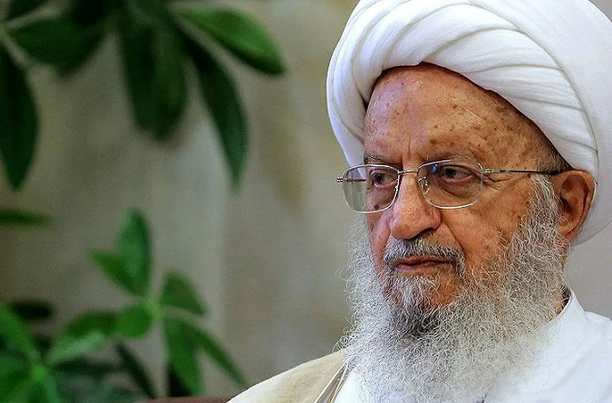 واکنش جدی آیت الله مکارم به افزایش قیمت دلار