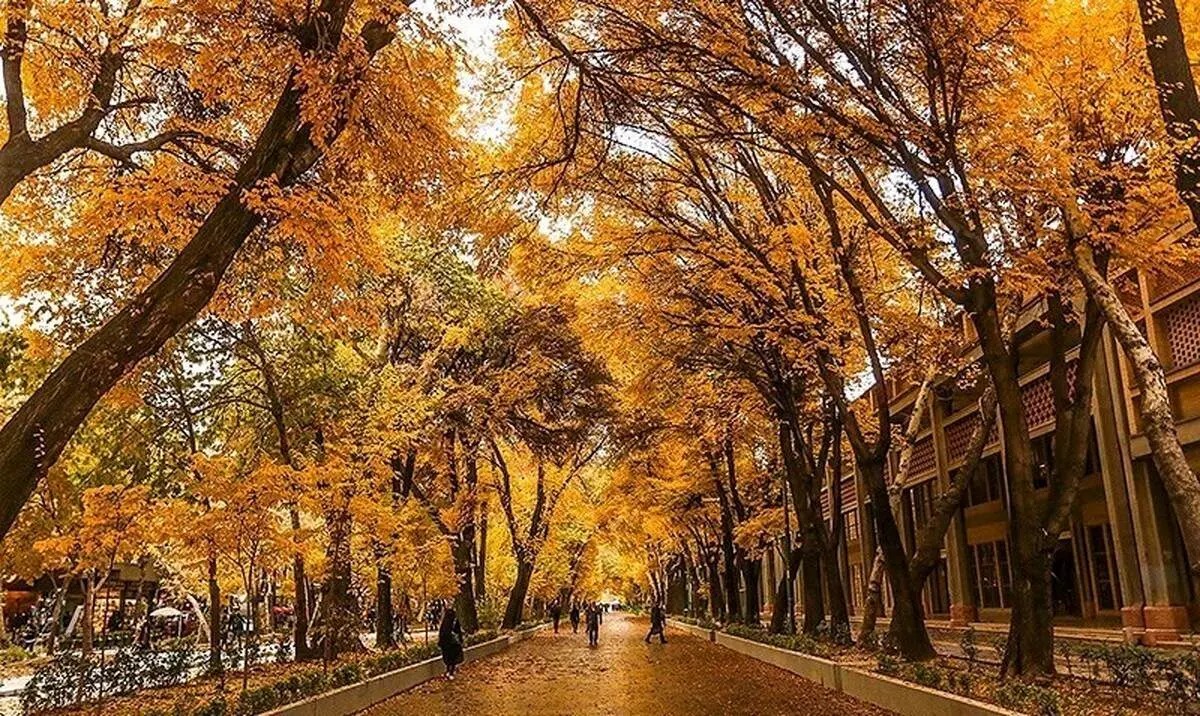 تصمیمات ناگهانی، برای تاریخی‌ترین خیابان ایران+ فیلم