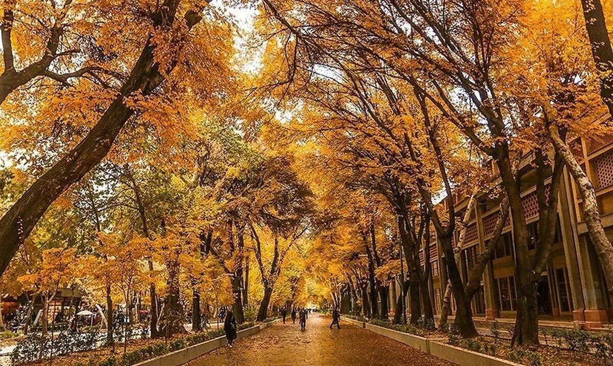 تصمیمات ناگهانی، برای تاریخی‌ترین خیابان ایران+ فیلم