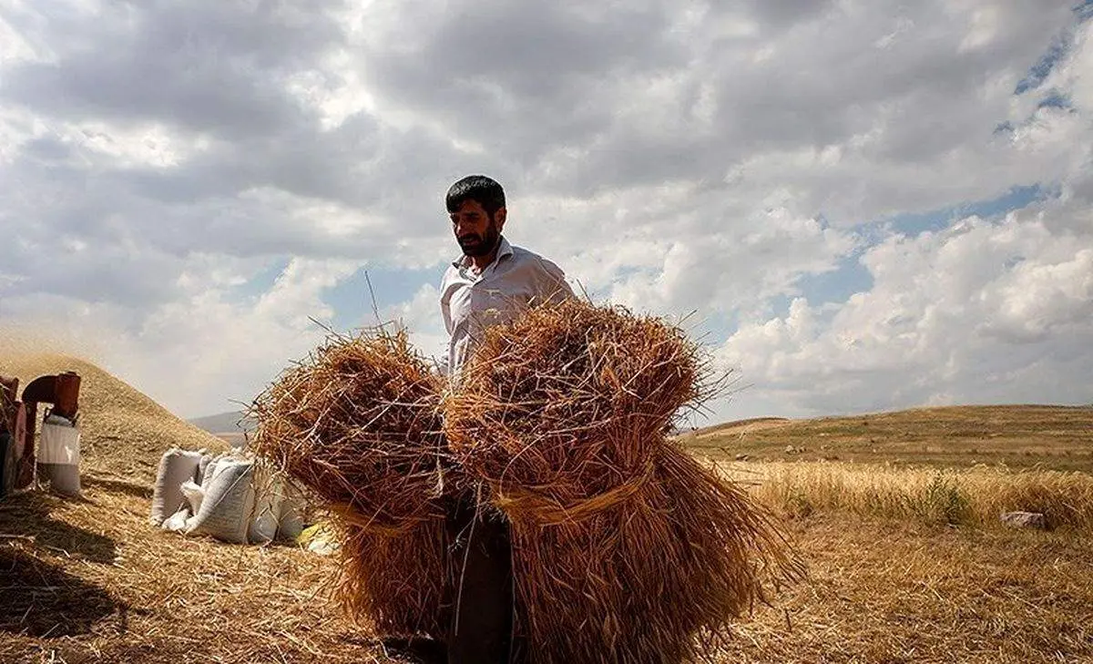 از ادعای موج بازگشت نخبه ها تا مهاجرت معنی دار کشاورزان!
