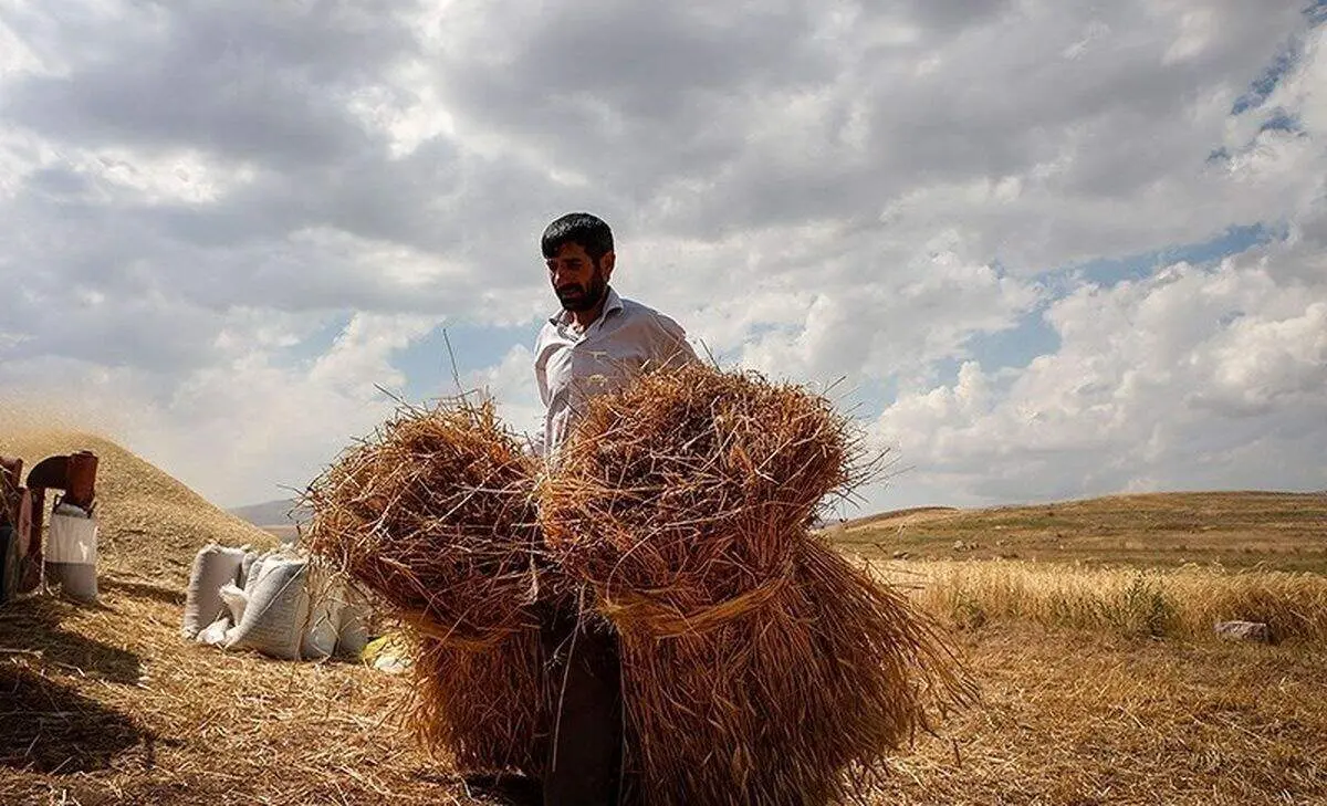 از ادعای موج بازگشت نخبه ها تا مهاجرت معنی دار کشاورزان!