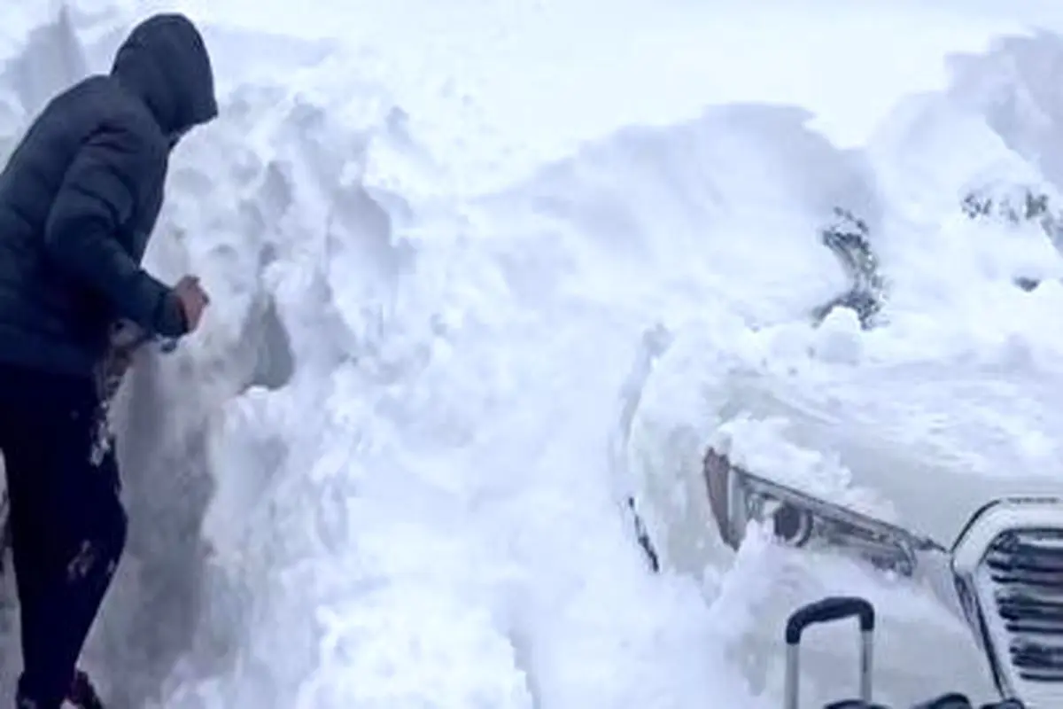 ویدئویی وحشتناک از دفن خودروها زیر انبوه برف در بوفالو!+ فیلم