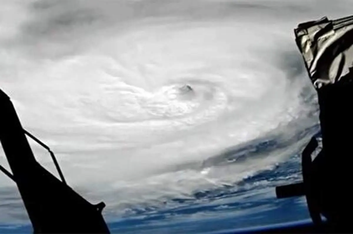 اتفاقی عجیب و دیدنی پس از طوفان نیکول در آمریکا!+ فیلم