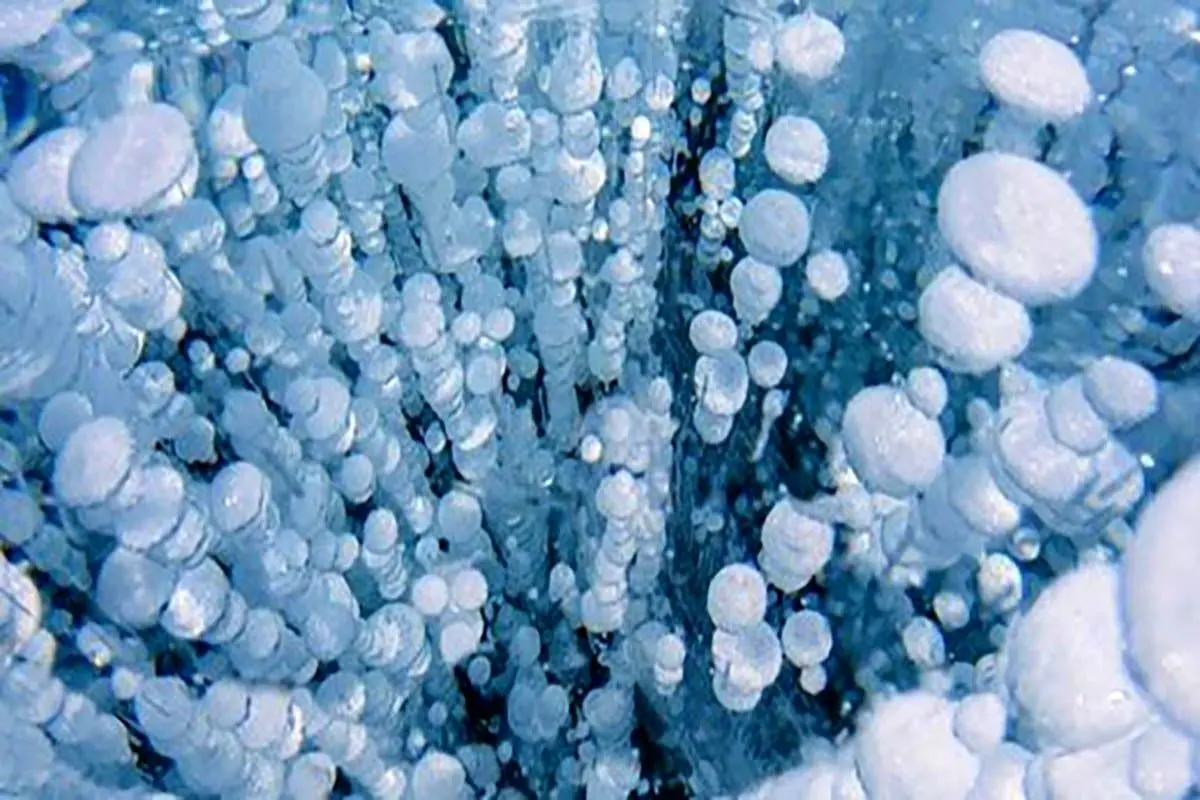 یخ زدن حباب‌های گاز متان در روسیه + عکس