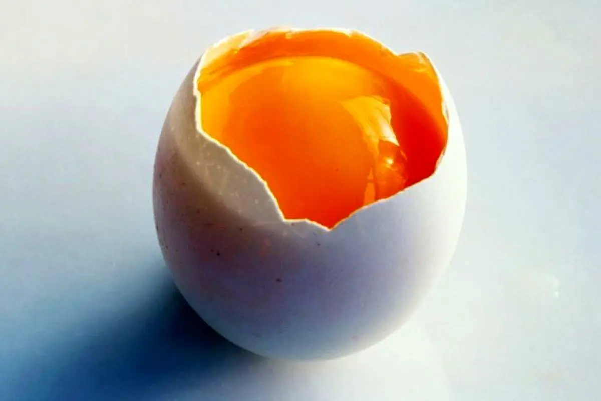 به همین سادگی سفیده را از زرده جدا کنید + فیلم