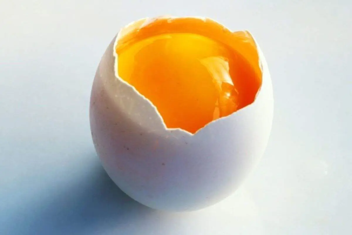 به همین سادگی سفیده را از زرده جدا کنید + فیلم