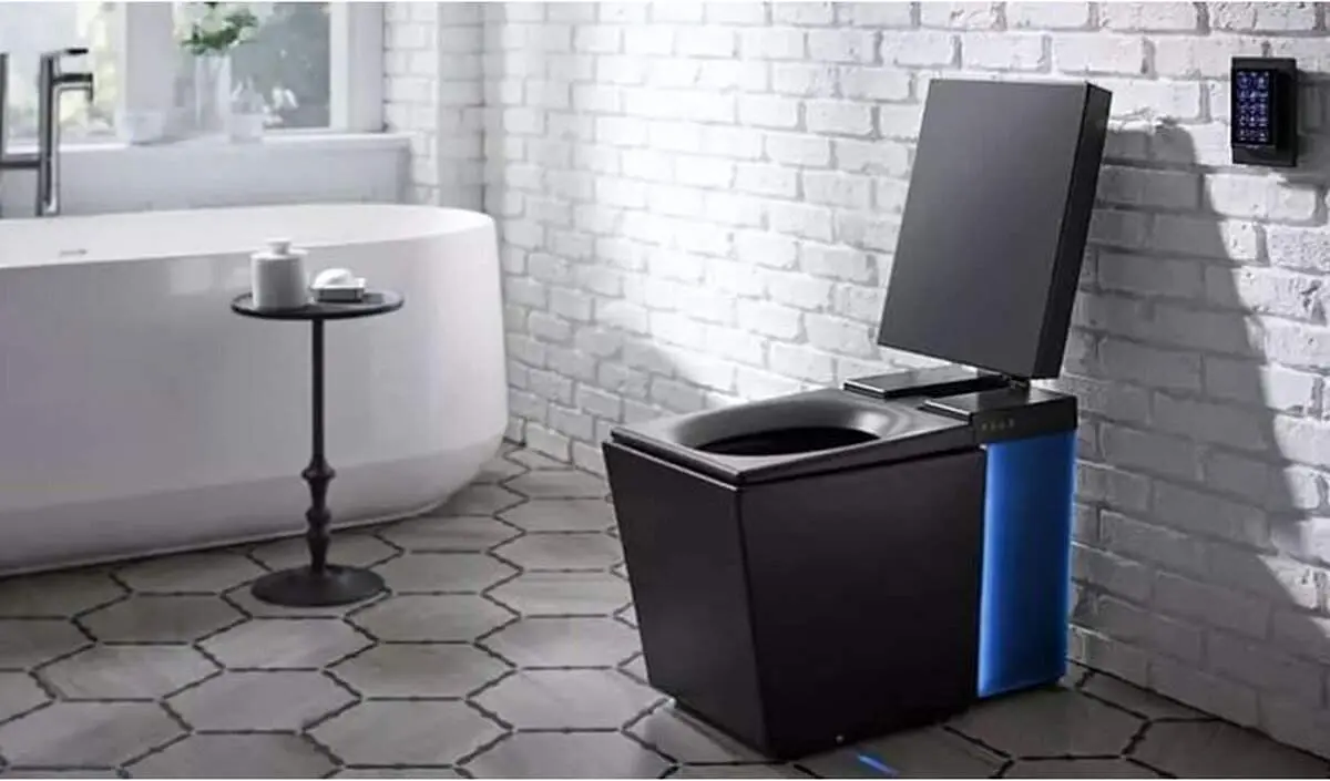 این توالت ۵۰۰ میلیون تومان قیمت دارد+عکس