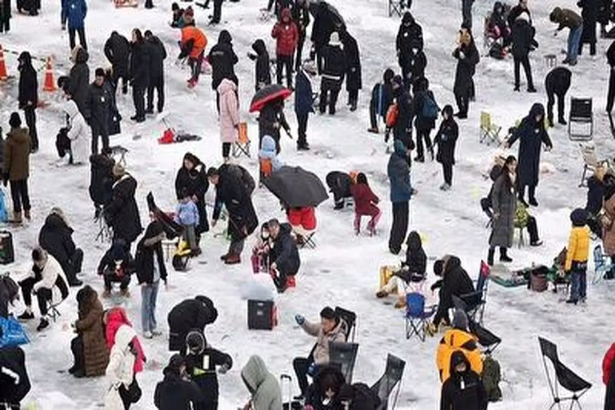 روش جالب مردم کره جنوبی برای ماهیگیری از دریاچه یخ زده+ فیلم