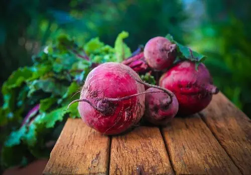 طرز تهیه لبو؛ خوراکی گرم برای روزهای بیماری

