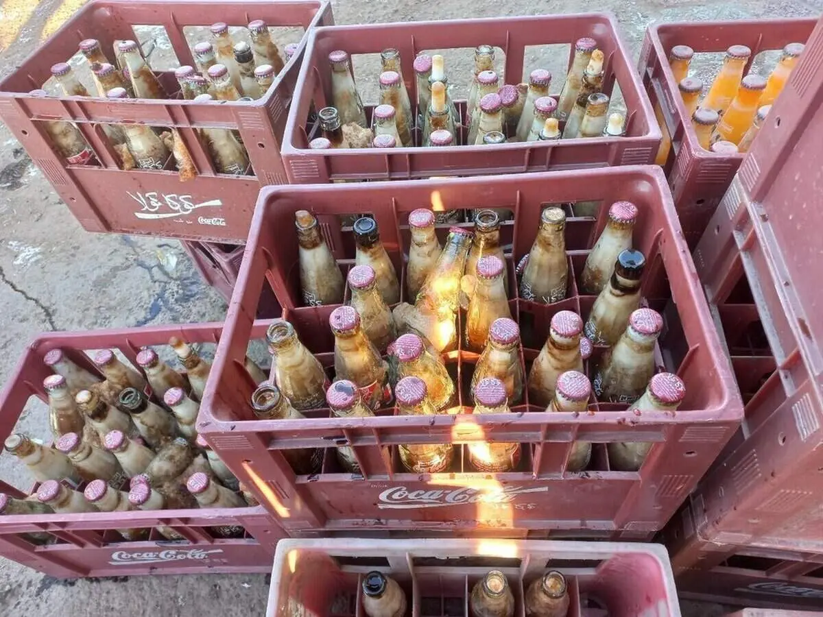 تصاویری از فاجعه سرما و یخبندان در تربت‌جام!