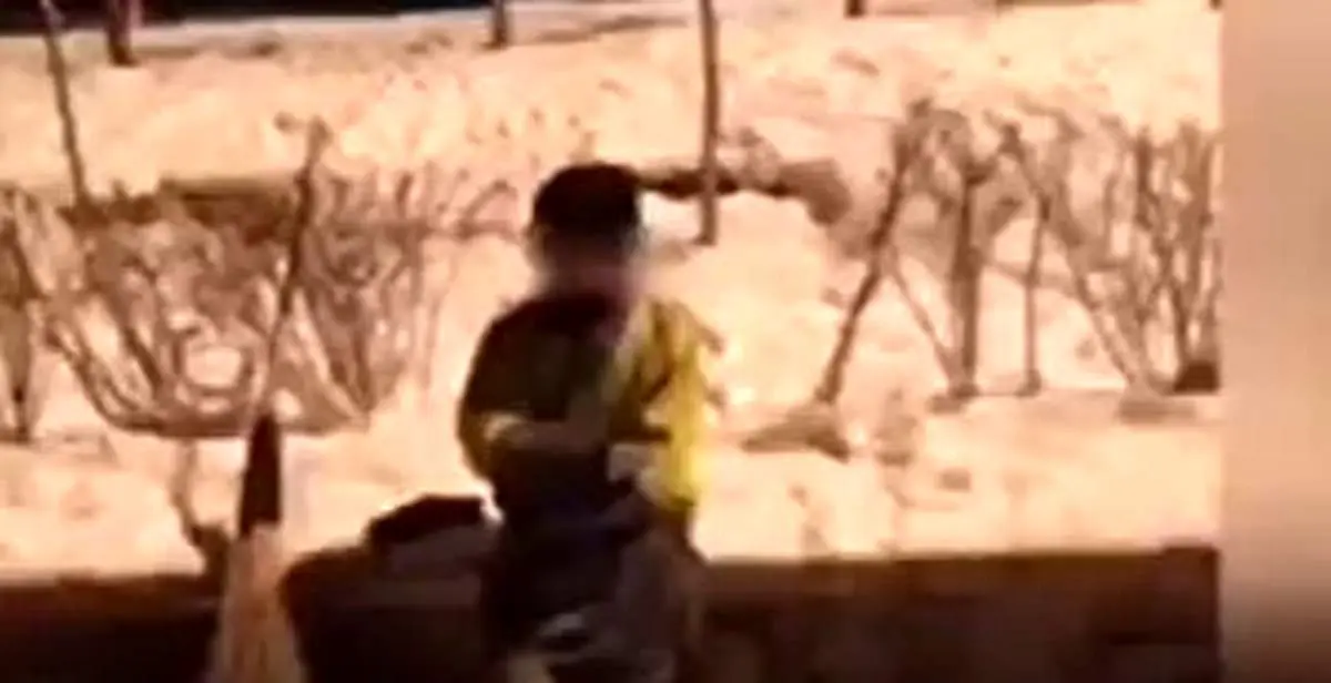 ویدئویی از رفتگری یک کودک در شب برفی تهران