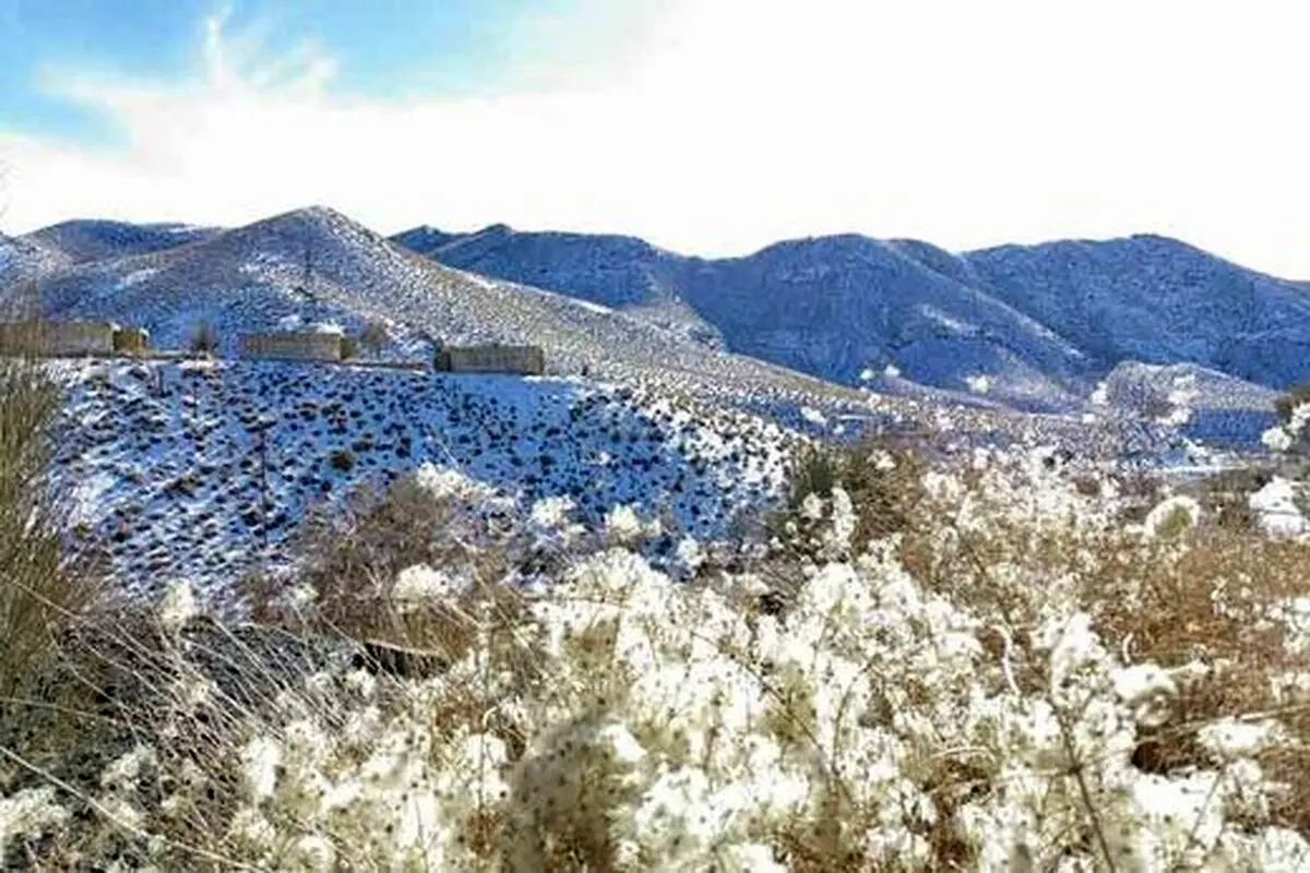 چهره زمستانی زیبای دشتخاک زرند کرمان + فیلم