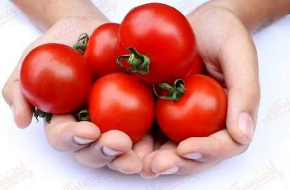 برای نشاط و طراوت پوست از این میوه غافل نشوید