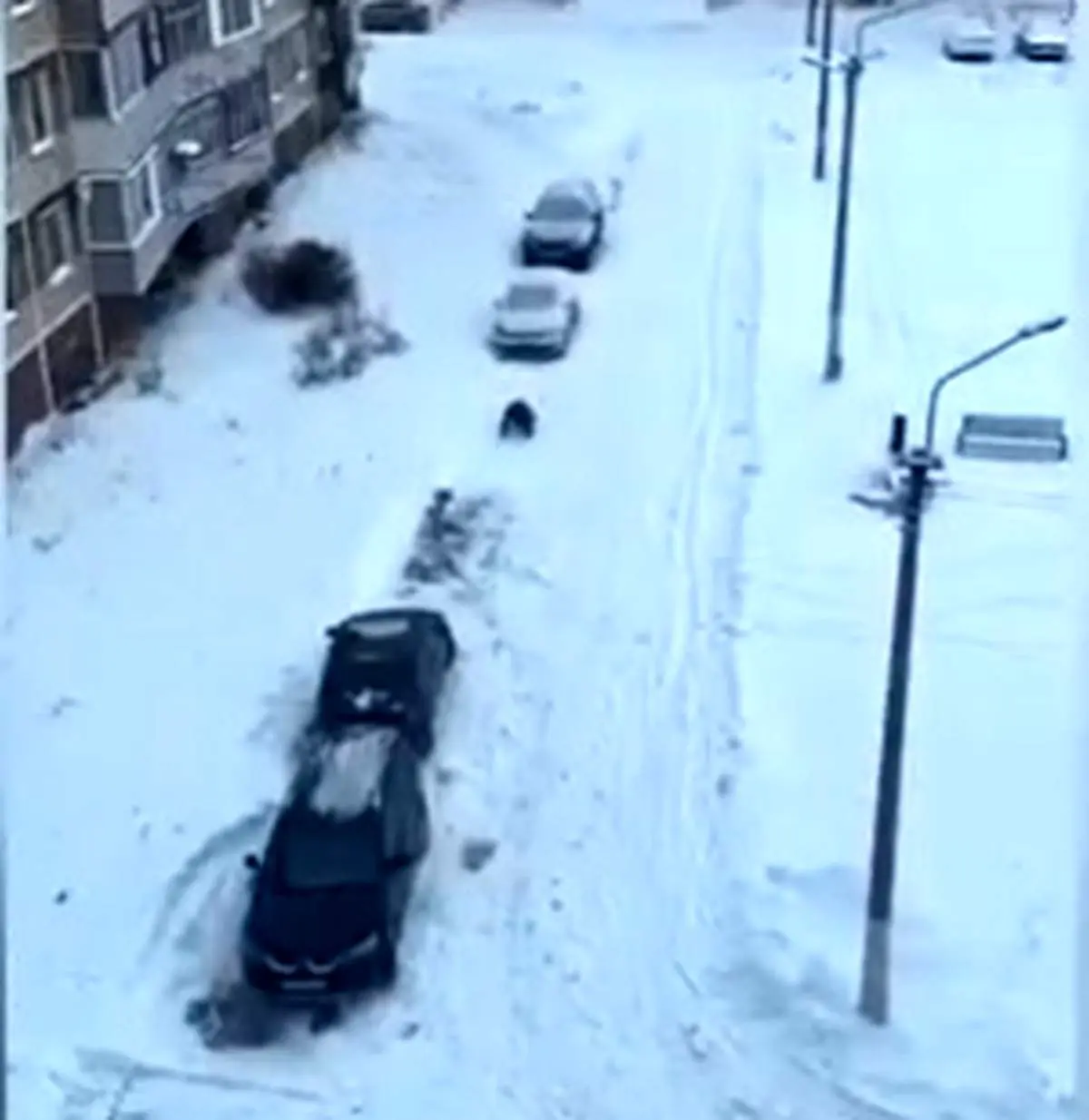 چهار دست و پا راه رفتن برای فرار از لیز خوردن!+ فیلم دیدنی