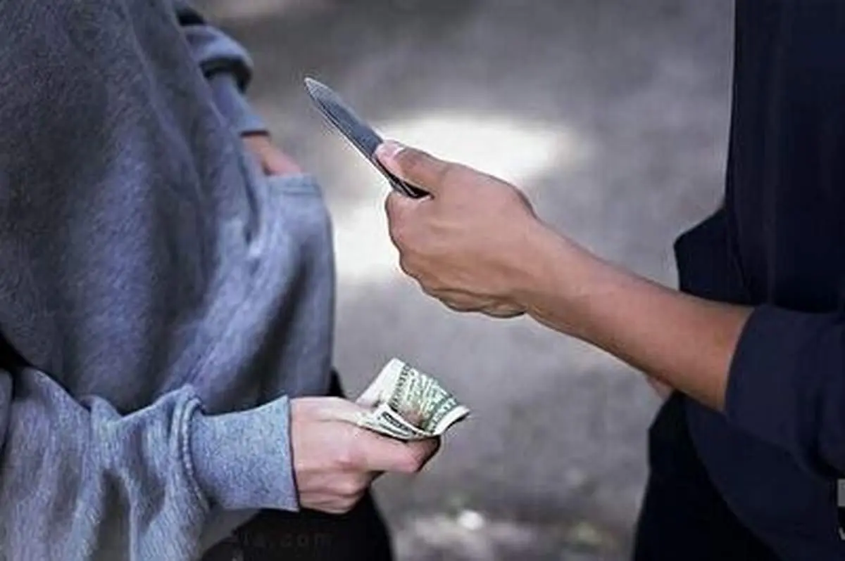 نتیجه غیر منتظره حمله یک زورگیر به زن جوان!+ فیلم