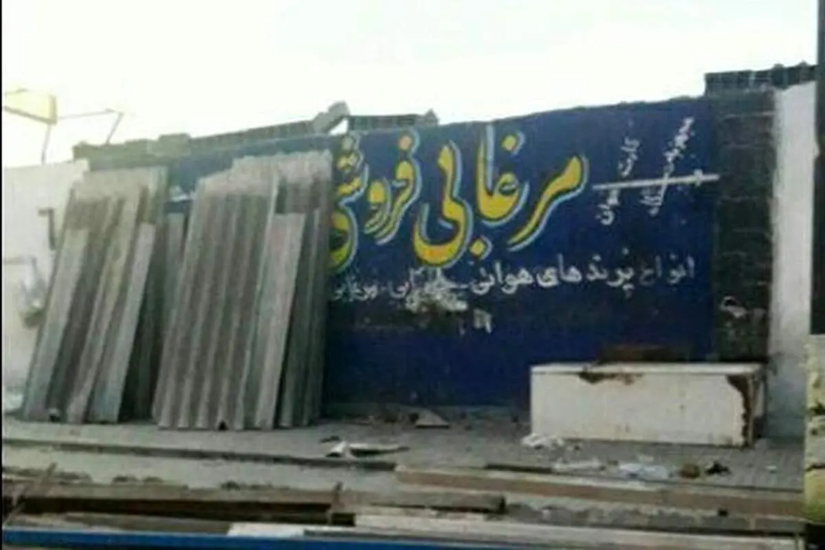 تعطیلی اصلیترین بازار فروش پرندگان زنده در مازندران+ جزئیات