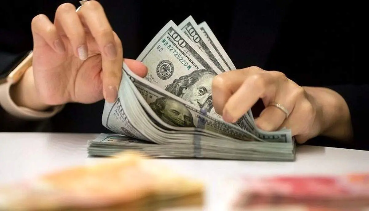 آخرین قیمت دلار ۱۹ دی ۱۴۰۱ / عملکرد موفق بانک مرکزی یا سرکشی دلار!