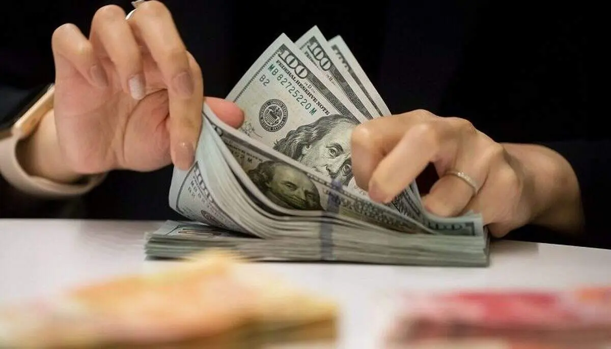 آخرین قیمت دلار ۱۹ دی ۱۴۰۱ / عملکرد موفق بانک مرکزی یا سرکشی دلار!