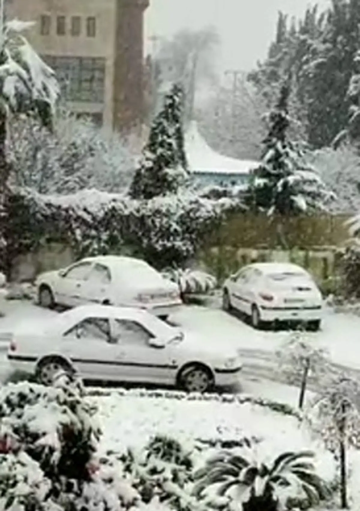 بارش فوق العاده زیبای برف در آستارا به روایت دوربین