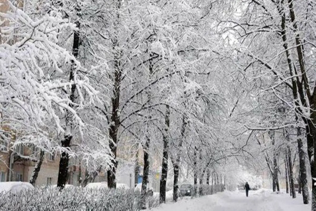 بارش زیبای برف در آستارا + فیلم