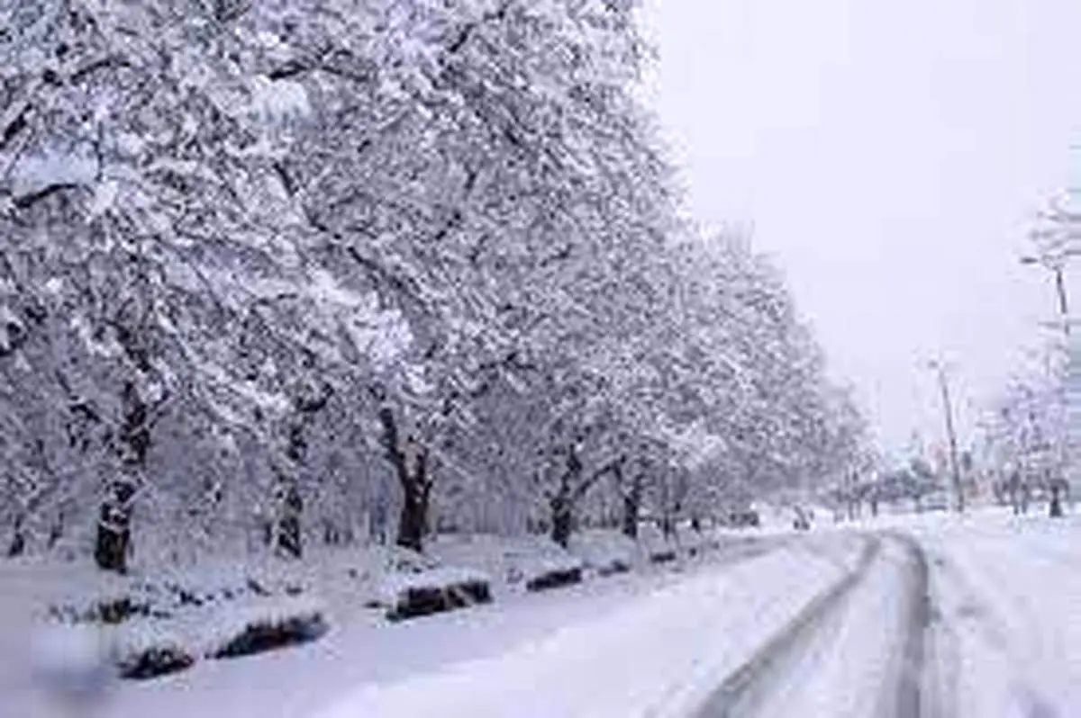 تصاویر فوق العاده از بارش زیبای برف+ فیلم