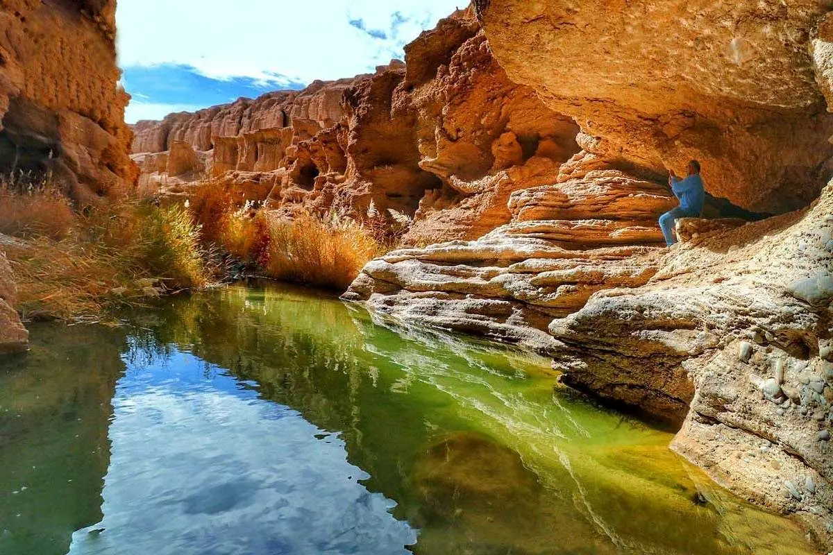 روستای عجیب شالیکاری در کویر ایران+ عکس