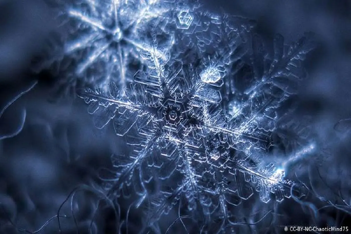 تصاویر شگفت انگیز میکروسکوپی دانه های برف+ تصاویر
