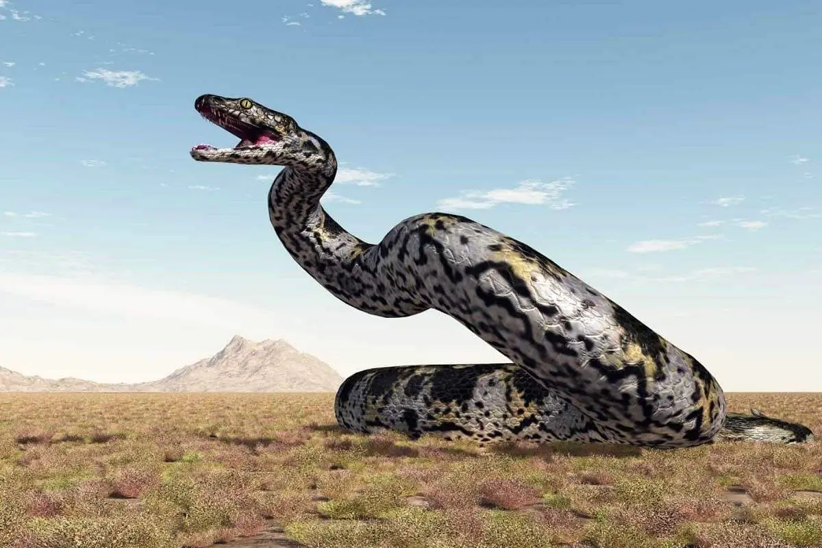 مارغول پیکر وسط جاده + فیلم