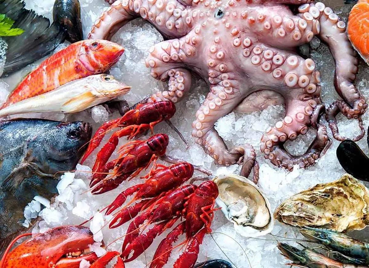 غذای دریایی ۵۰ میلیون است! + فیلم