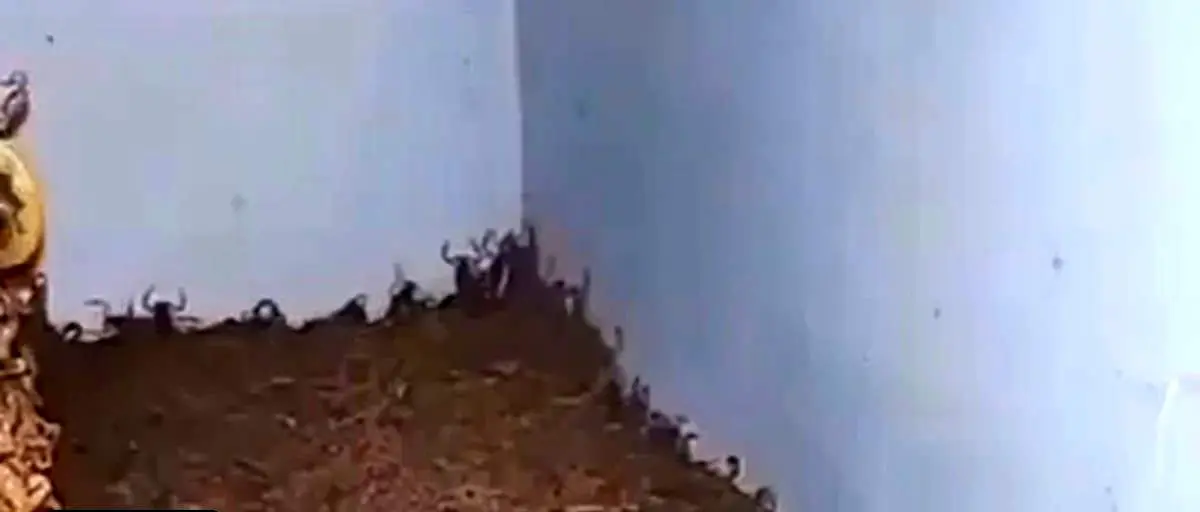 صحنه ای وحشتناک در یک خانه متروکه! + فیلم