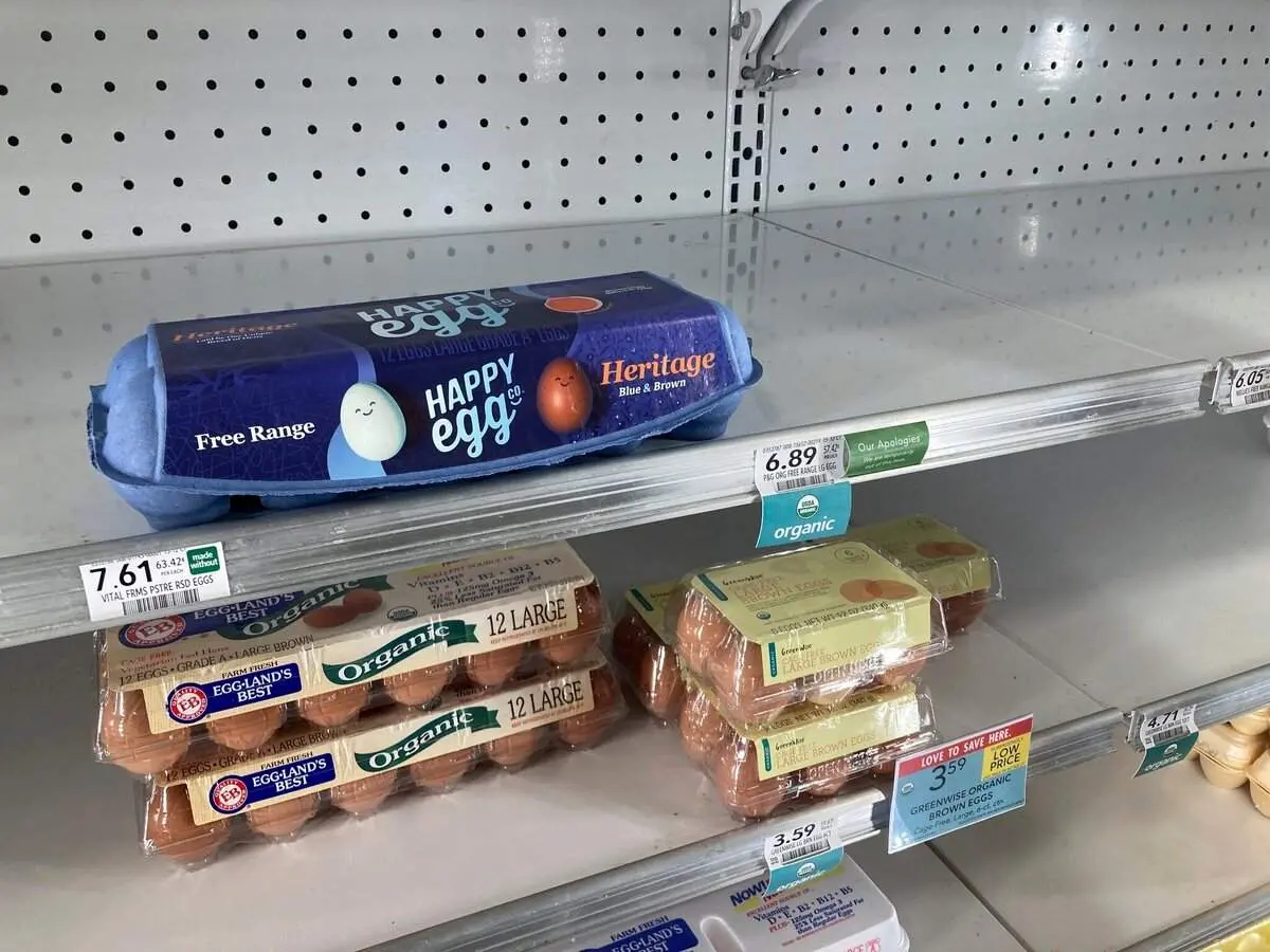 واکنش طنز کاربران آمریکایی به کمبود تخم مرغ در این کشور+ فیلم