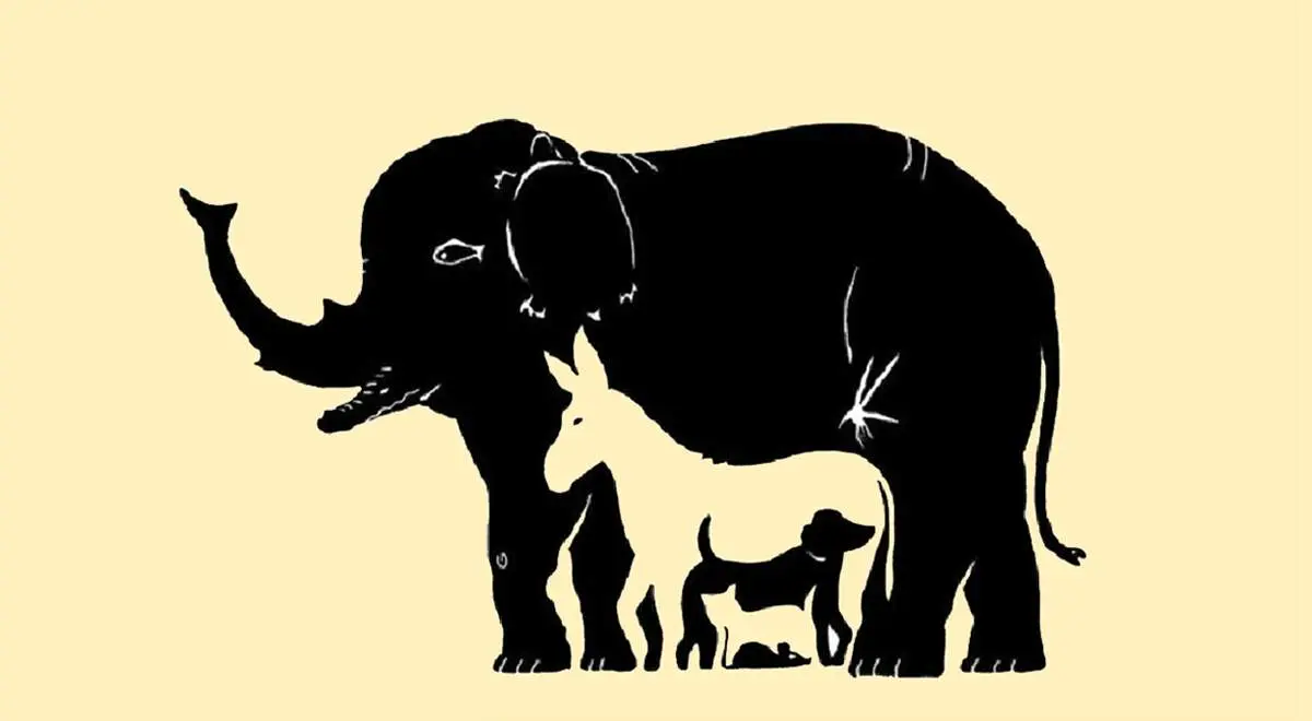 چند حیوان در تصویر وجود دارد؟