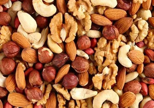 مزرعه شتر دوکوهانه- جعفرآباد مغان استان اردبیل
